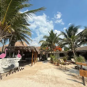 La Diosa Kali Front 3*, Isla Holbox Mexiko