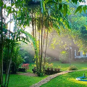 Mango House Japanese Affittacamere Negombo